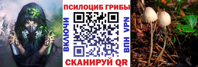 Псилоцибиновые грибы Psilocybe  наркота  Сухиничи 